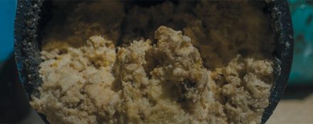 Fats, oils and grease clogged pipe